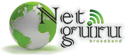 NetGuru